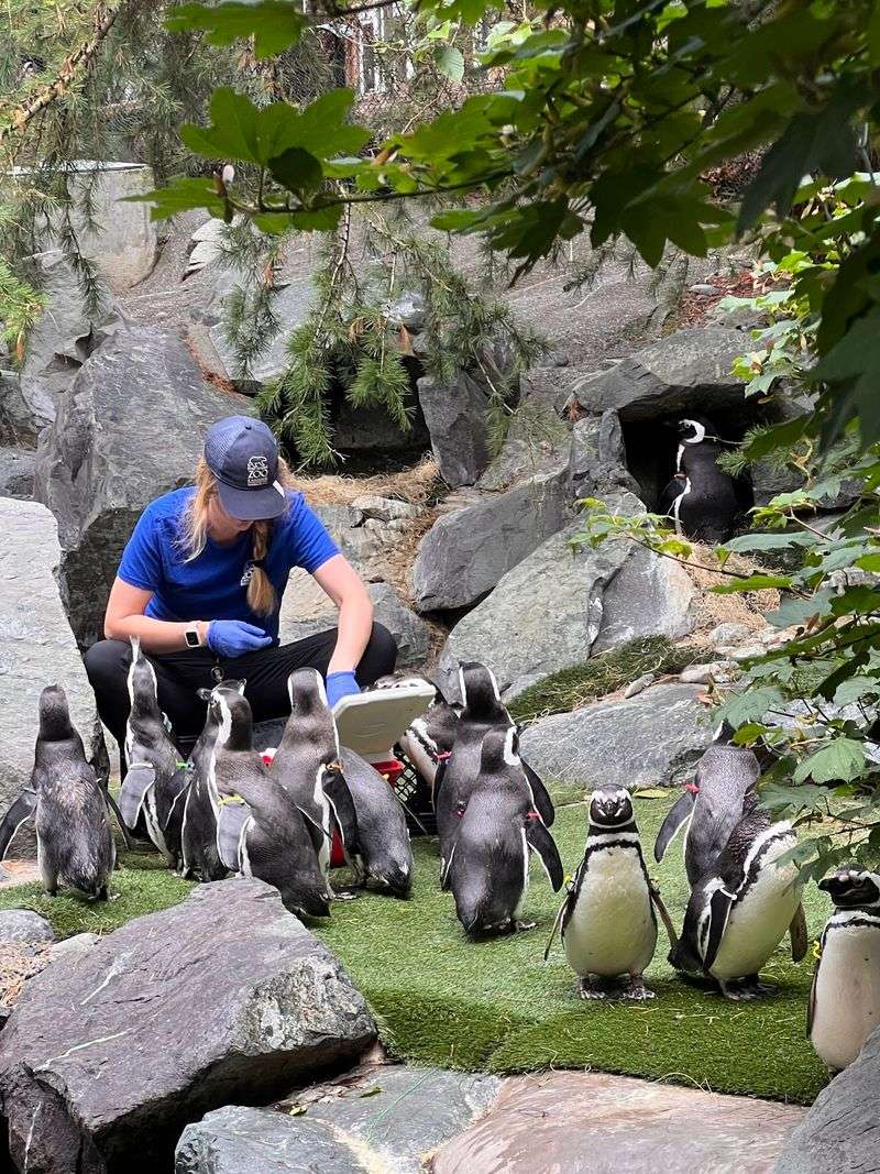 Keepers and Volunteers Who Love Questions