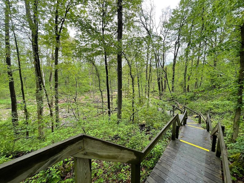 Old Woman Creek State Nature Preserve, Huron, Ohio