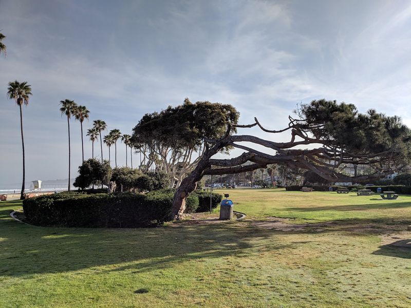 Kellogg Park