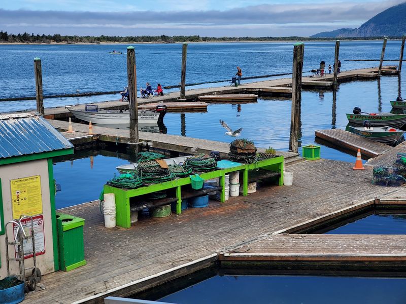 Kelly's Brighton Marina