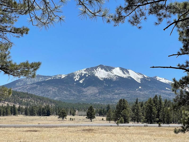Kendrick Park Watchable Wildlife Trail, North of Flagstaff