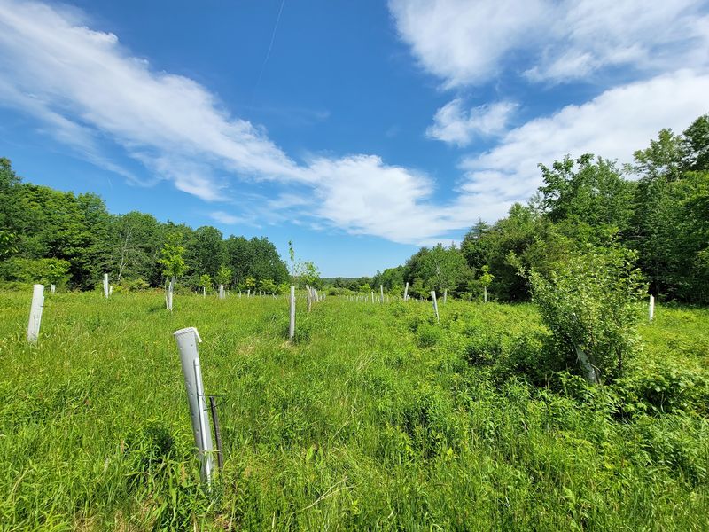 Kennebec County 