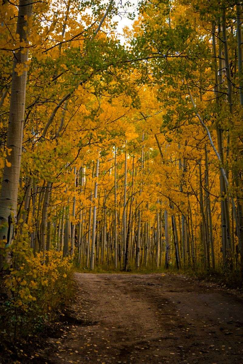 Kenosha Pass, Colorado Kenosha Pass, Colorado