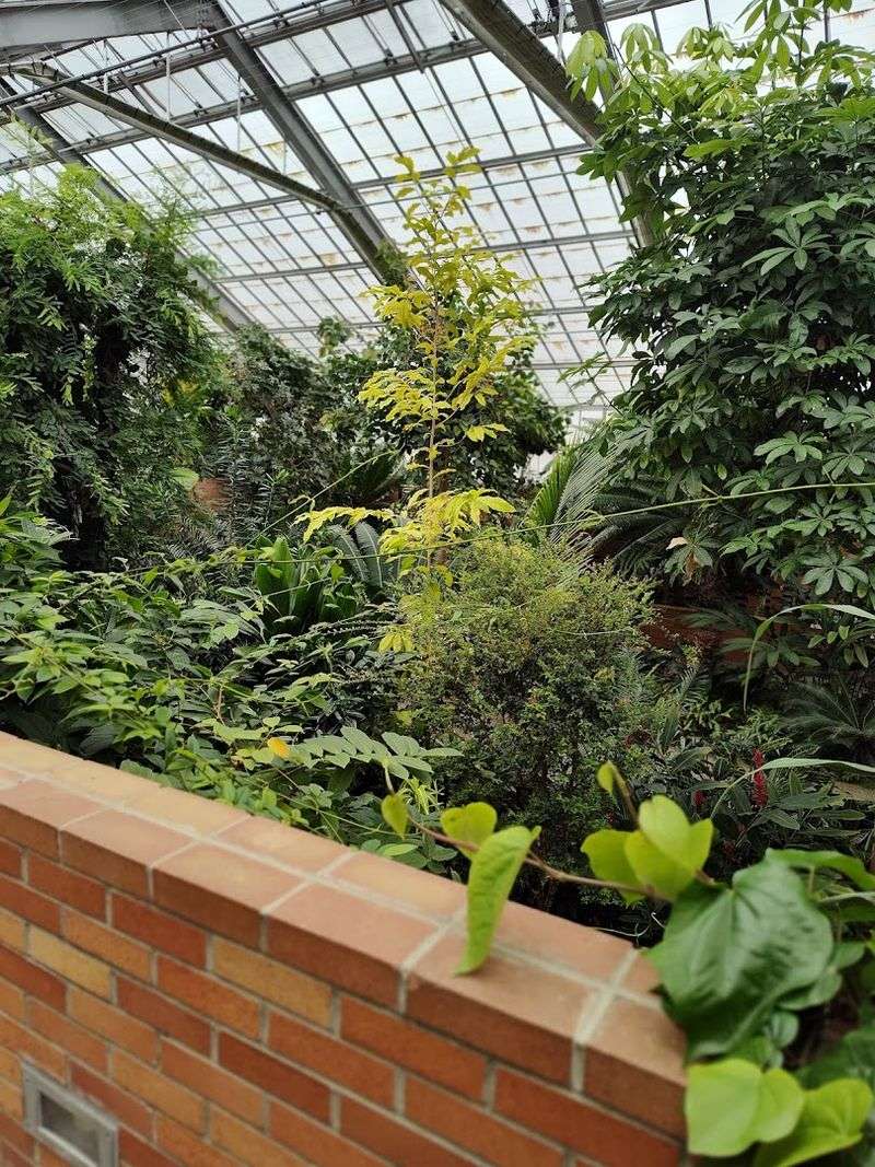 Matthaei Botanical Gardens And Nichols Arboretum, Ann Arbor