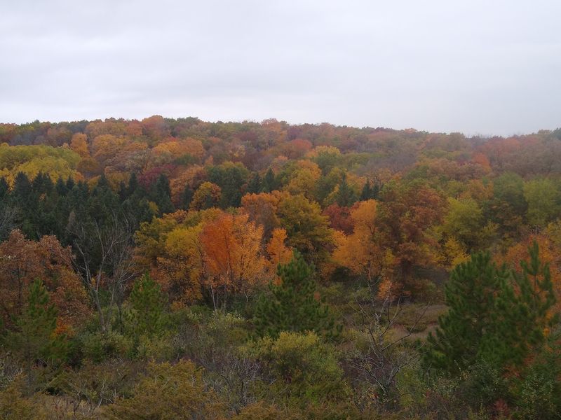 Kettle Moraine State Forest Northern Unit
