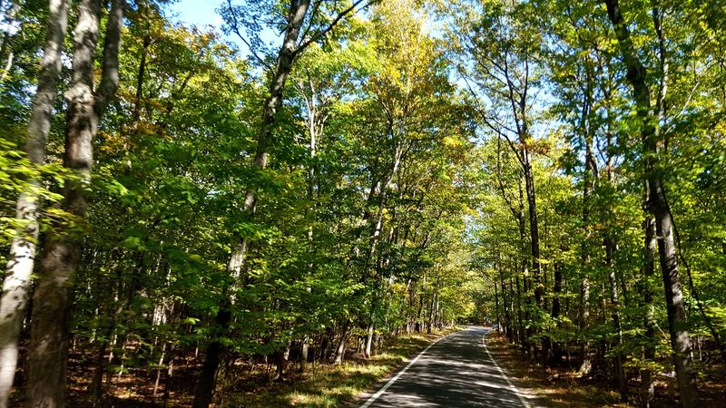 Tunnel of Trees scenic drive, M-119 (Harbor Springs to Cross Village)