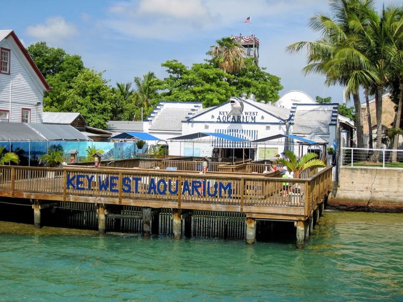 Key West Aquarium, Key West, Florida Key West Aquarium, Key West, Florida