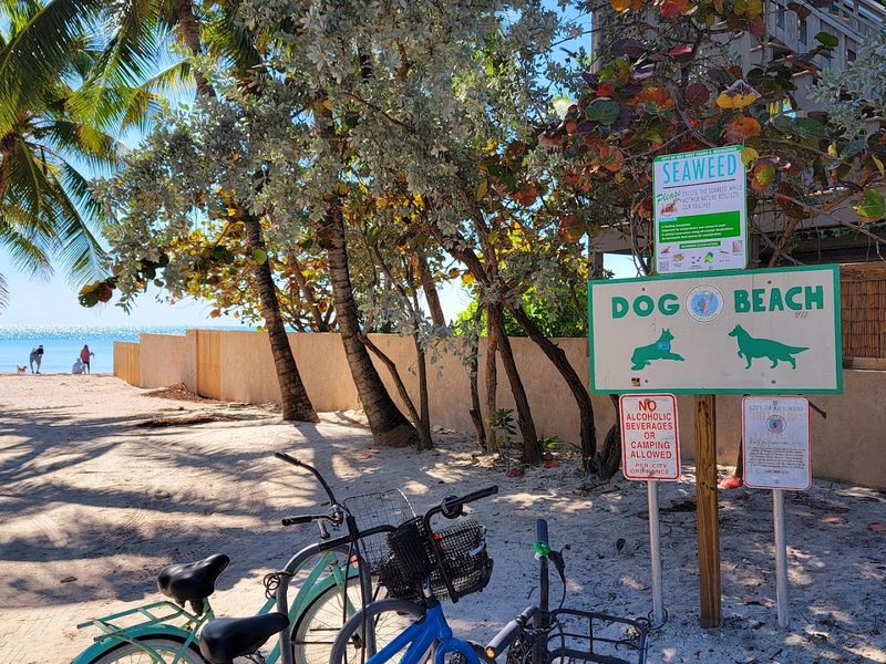 Key West Dog Beach, Key West, FL Key West Dog Beach, Key West, FL