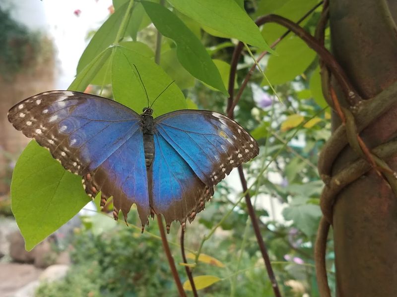 A Last Look Before You Go