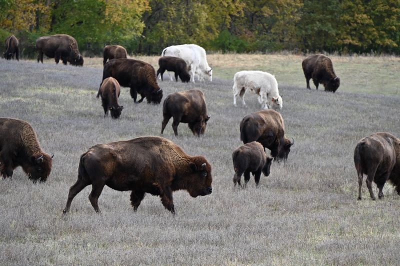 Winter Quiet, Summer Buzz, And When To Go