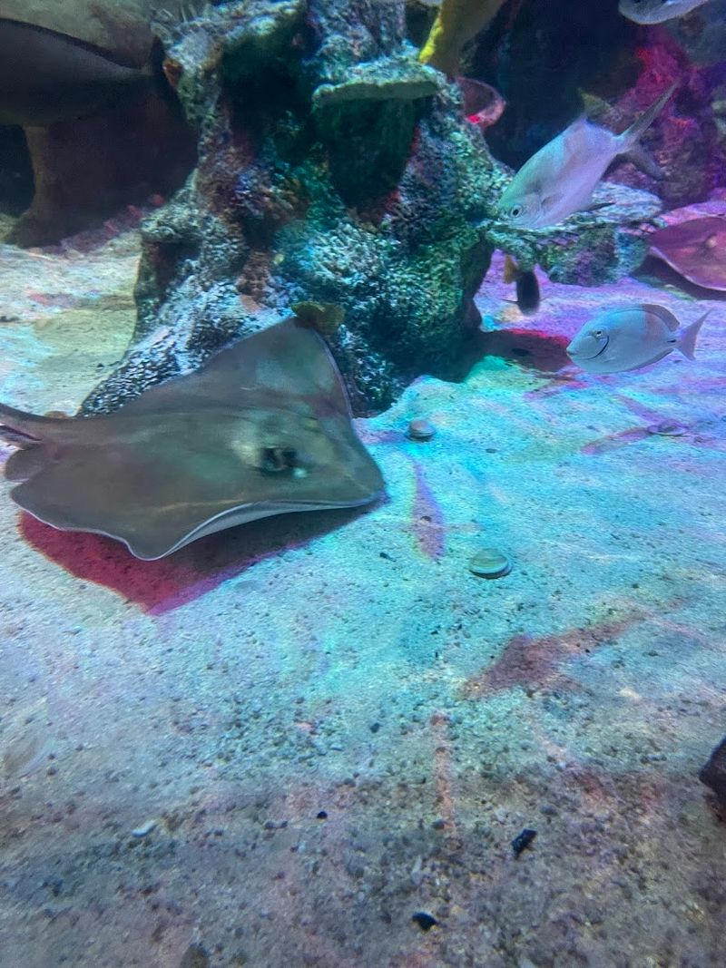 Photography Without The Glare