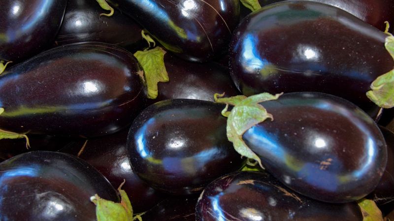 Eggplant: Purple Peril Uncooked