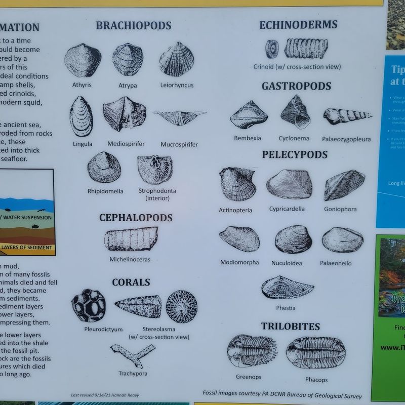 The Nearby Nature Center Adds Real Educational Value