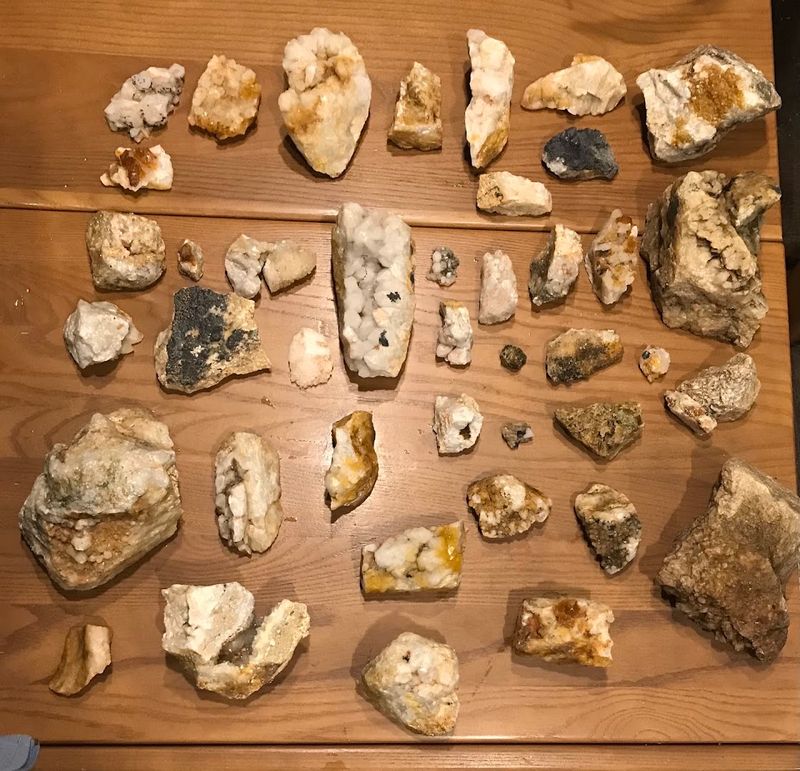 Kids Find Just As Much As Adults