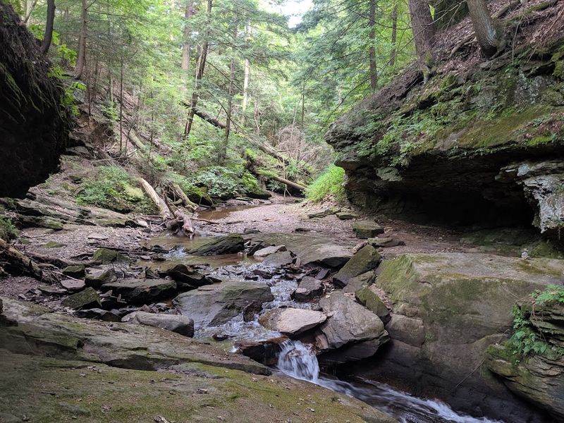 Slippery Rock Gorge Trail, McConnells Mill State Park, PA