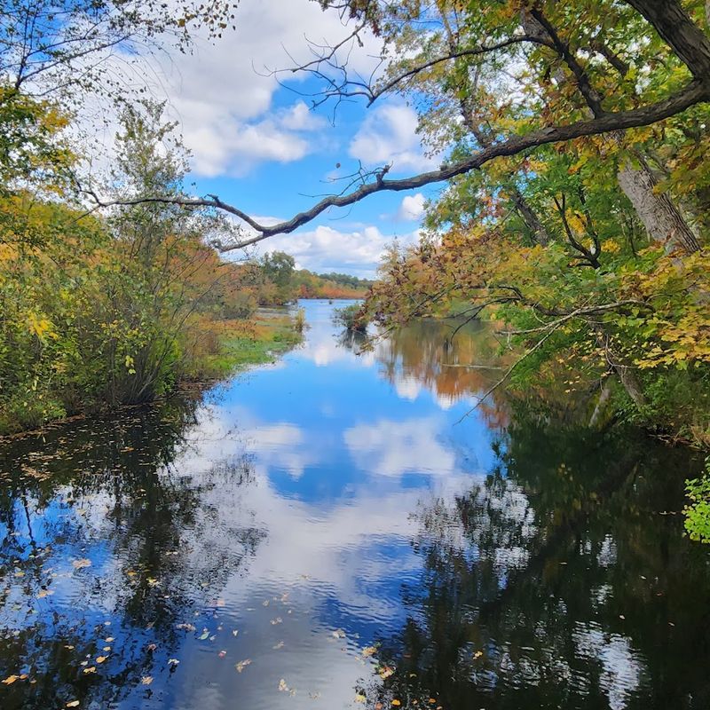 Killens Pond State Park