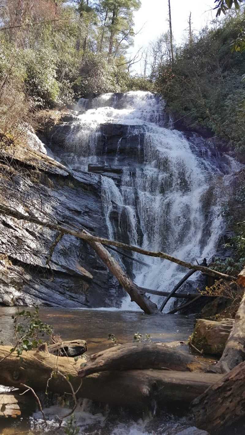 King Creek Falls Trail