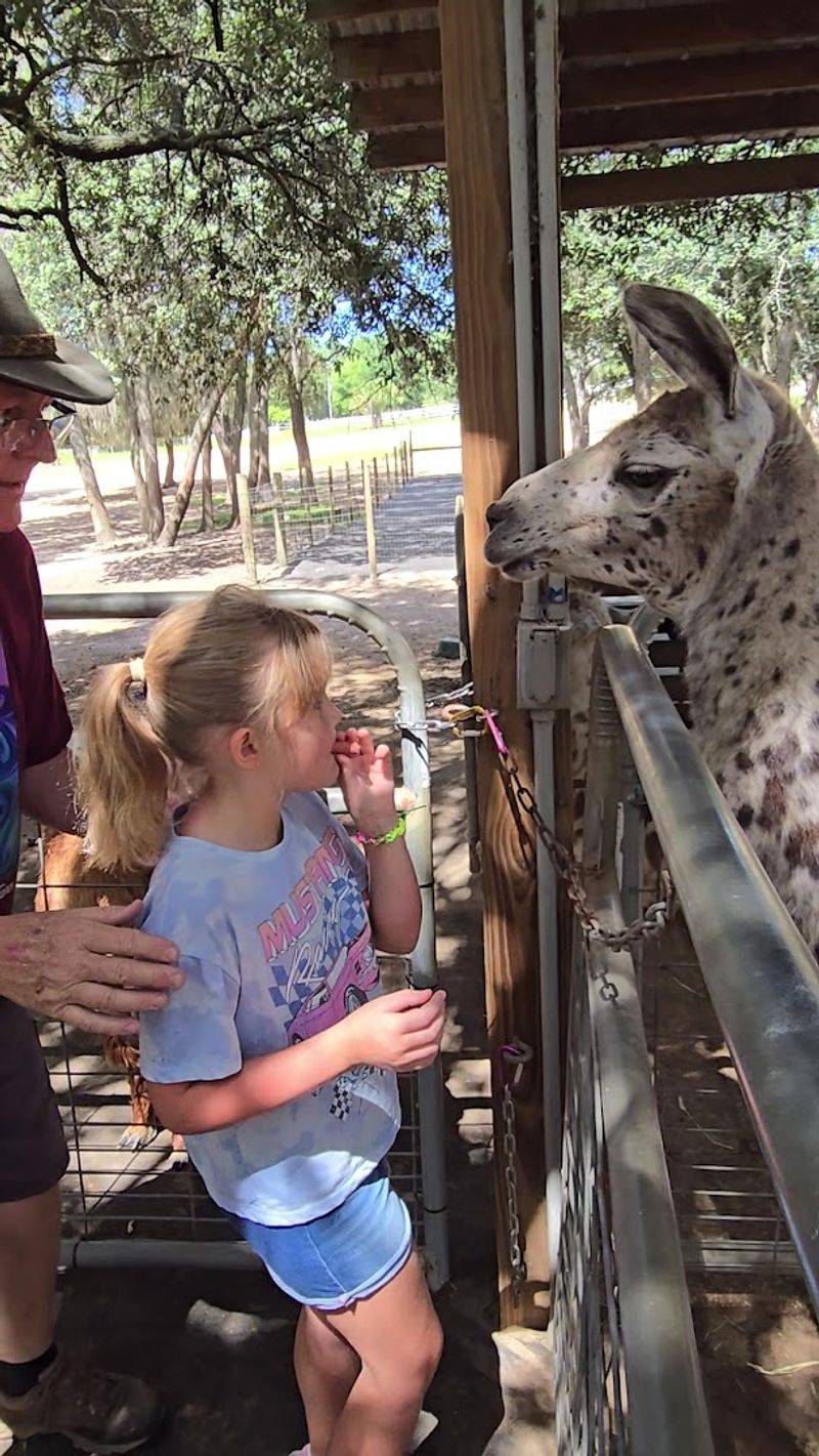 King: The Tour Guide Who Makes Every Visit Unforgettable