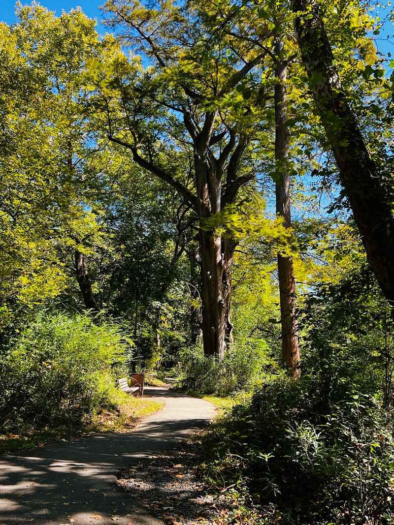 Kingfisher Trail