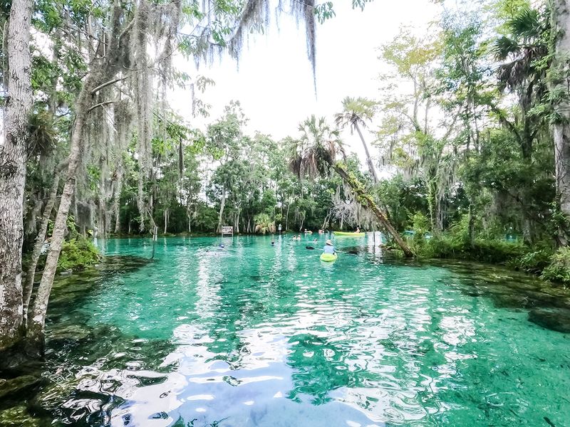 Kings Bay, Crystal River Kings Bay, Crystal River