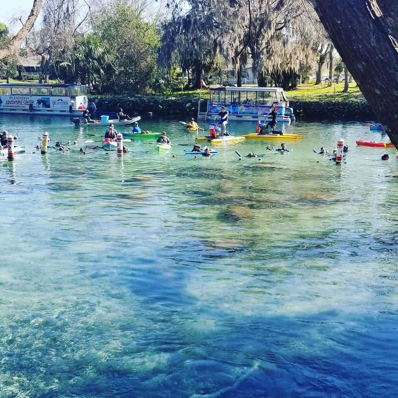 Hunter Springs Park Launch