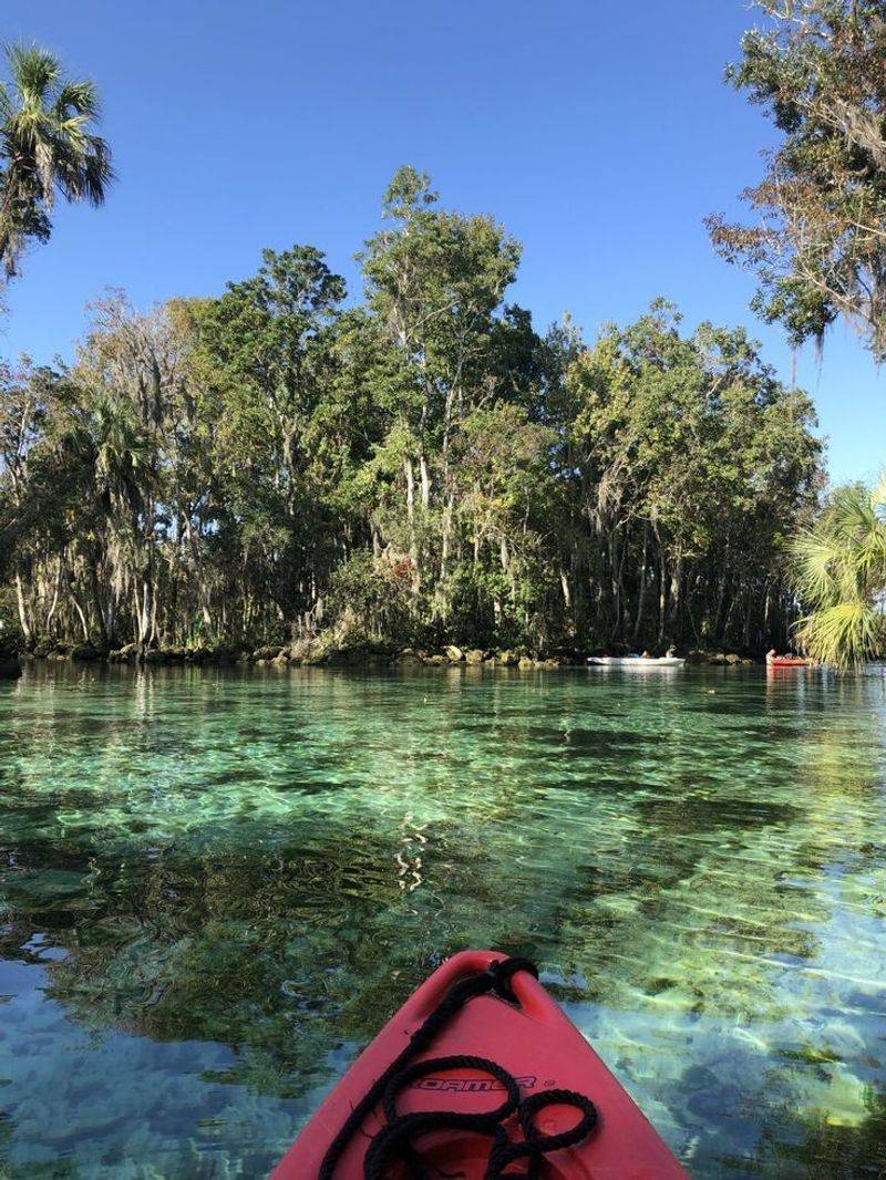 Kayaking The Salt River Loop