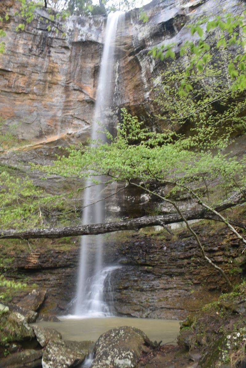 Kings Bluff Falls