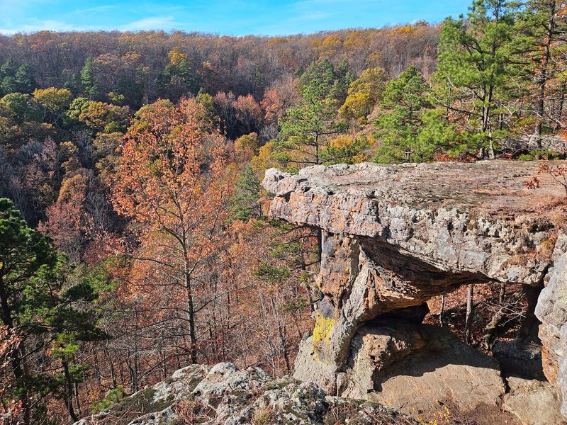Kings Bluff Loop Trail, Pelsor Kings Bluff Loop Trail, Pelsor