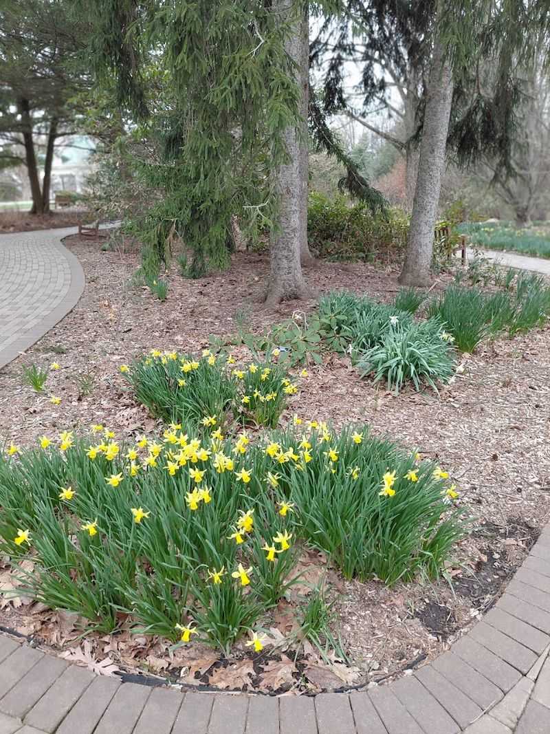 Fellows Riverside Gardens, Youngstown, OH