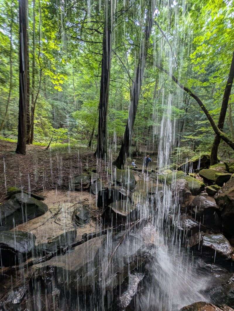 Turkey Foot Falls – Sipsey Wilderness