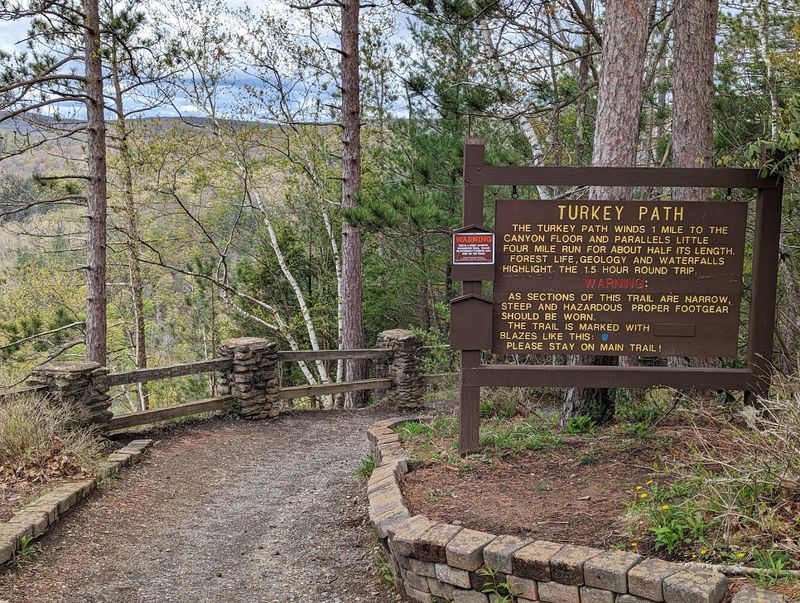 Leonard Harrison State Park, Wellsboro, PA