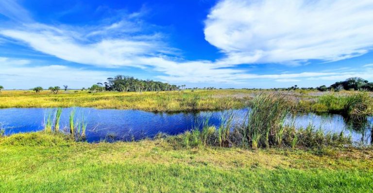 Kissimmee Prairie Preserve Is One Of Florida’s Last Truly Remote Places To Camp