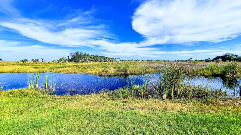 Kissimmee River and Kissimmee Prairie Region, Okeechobee, FL