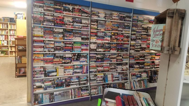 Books, Media, And Electronics Worth Exploring