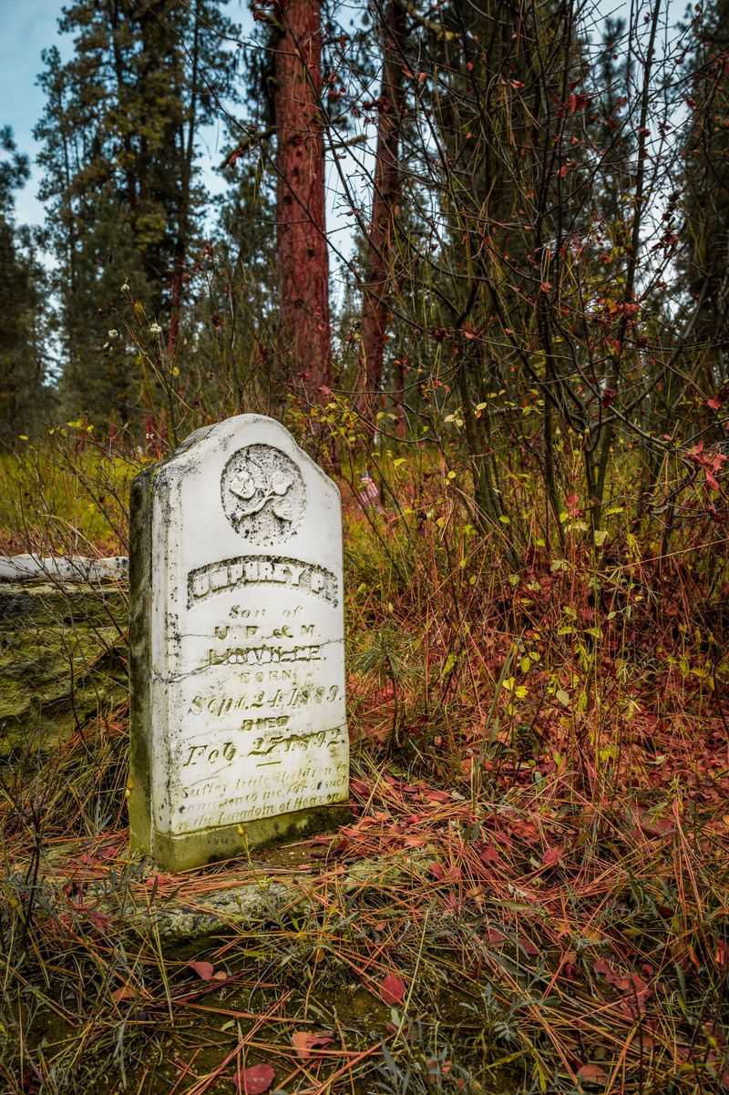 Kitchie Cemetery At The Forest's Edge Of Memory
