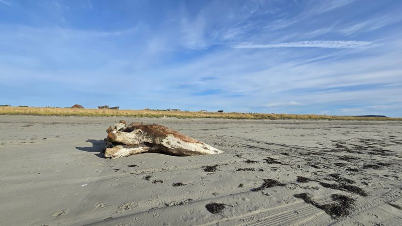 Kite Flying Paradise And Beachcombing Treasures