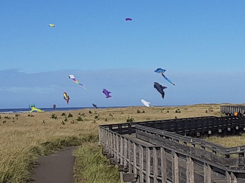 Kites Dancing Over the Sand
