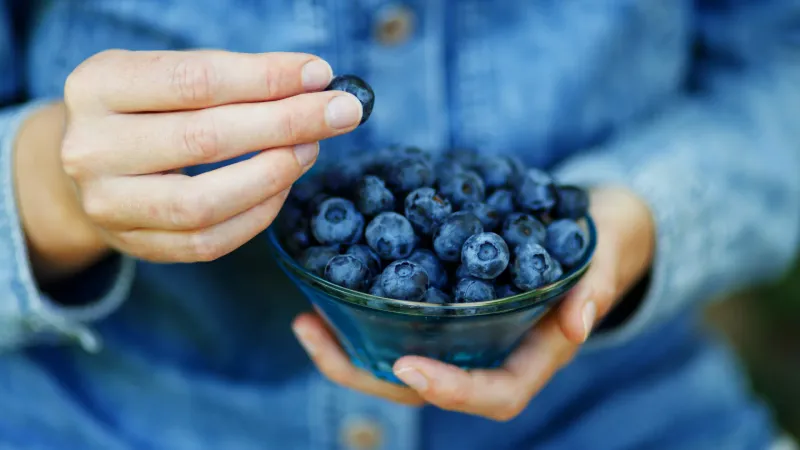 Blueberries: Brain-Boosting Blues