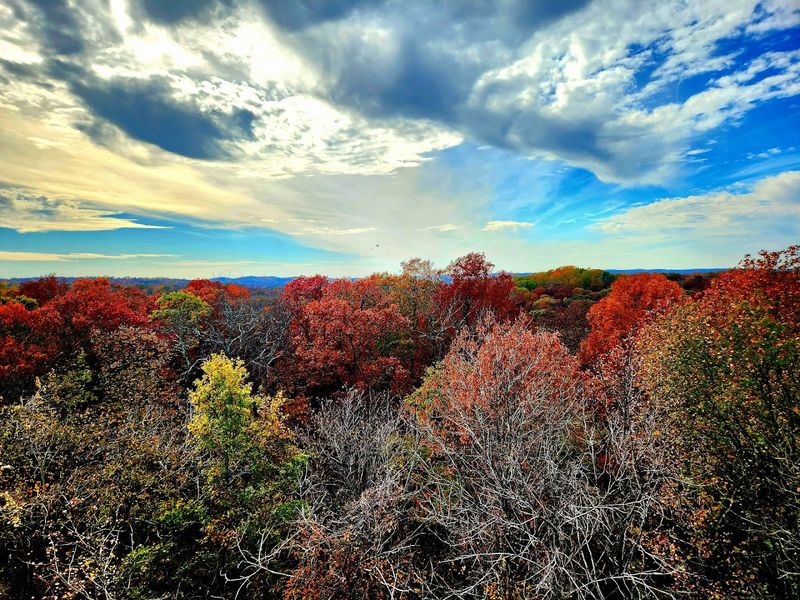 Giant City State Park - Makanda