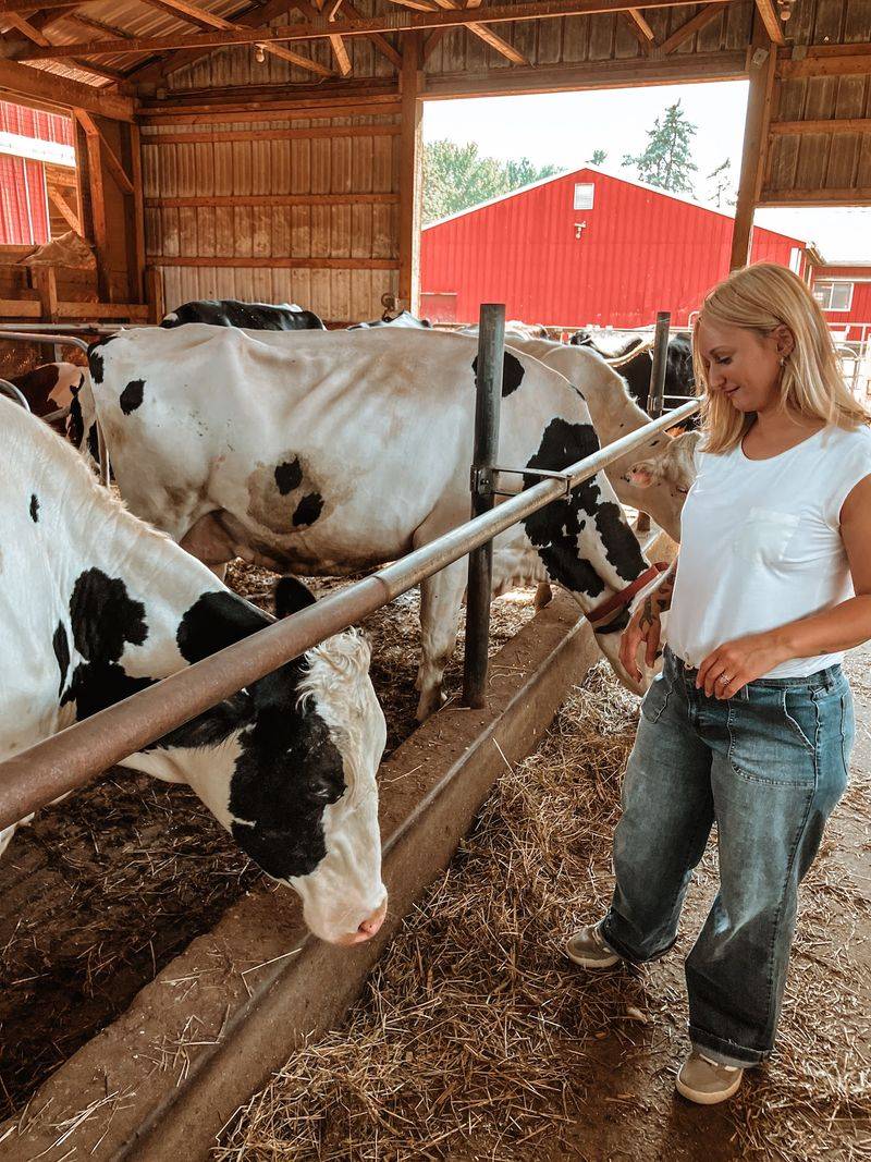 Klein Farms Dairy & Creamery, Easton, Pennsylvania
