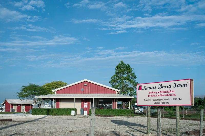 Knaus Berry Farm, Homestead