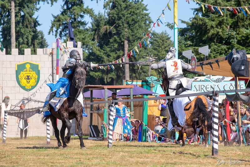 Knights, Jousting, and Trick Riding