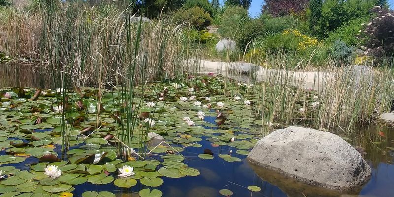 Fifteen Acres of Outdoor Gardens That Earn the Walk