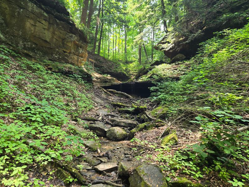 Shades State Park & Pine Hills — Narrow Ravines and Quiet Granite