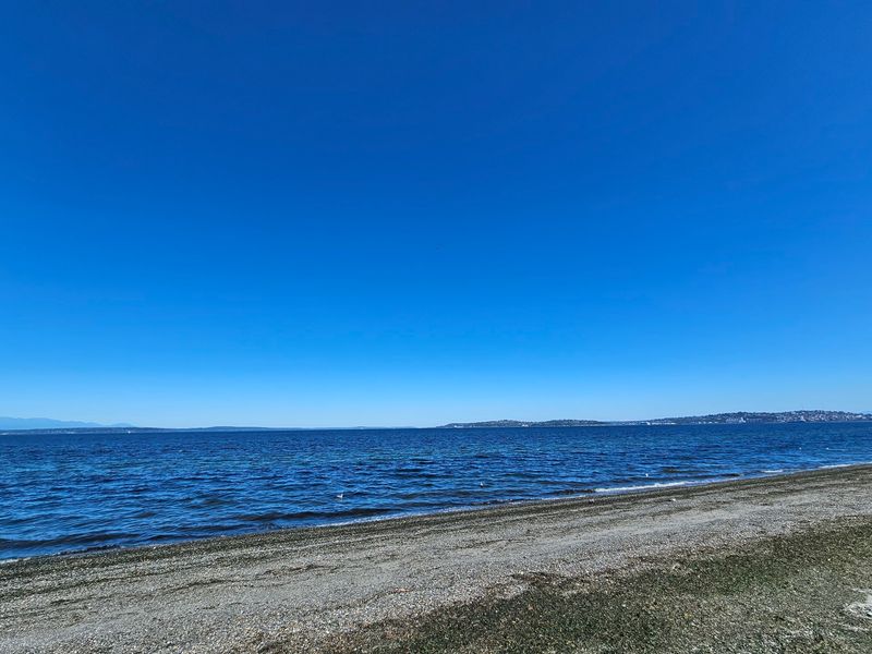 Know Before You Go To Alki Avenue