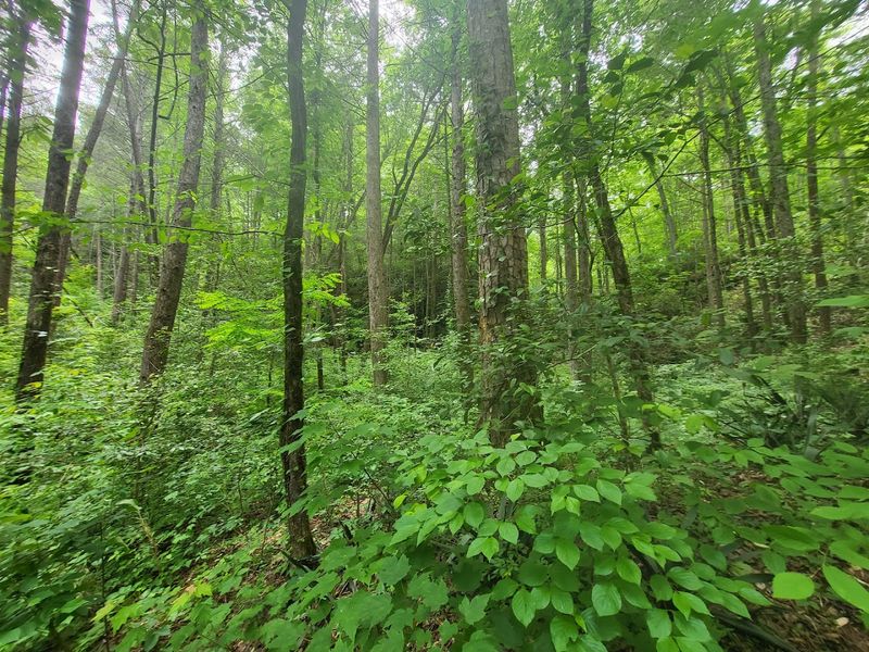 Know The Trail Distance Before You Go