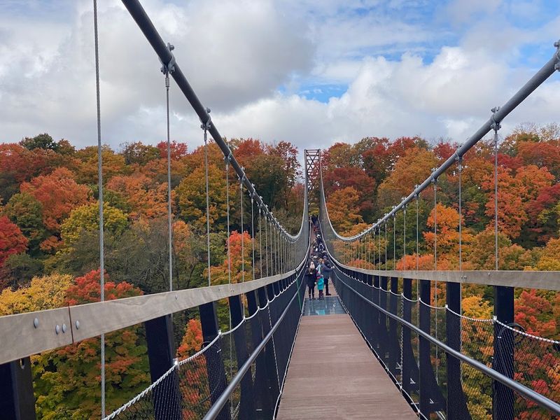 Know What Makes This Bridge Unusual