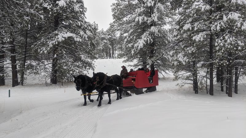 Booking And Practical Information