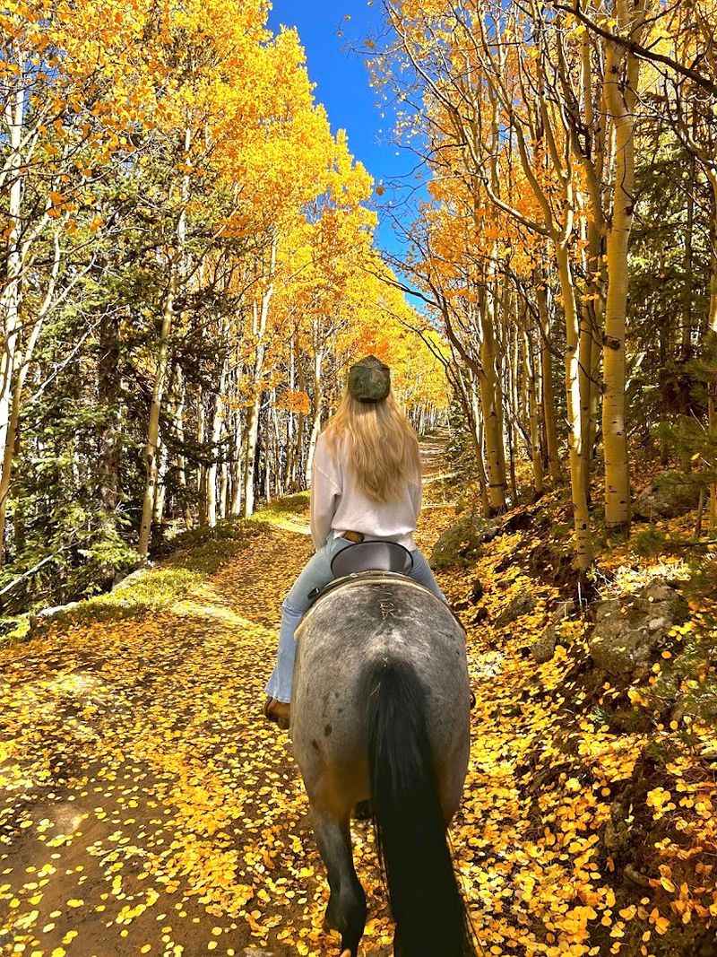 Ride Options That Fit Every Schedule and Stamina Level