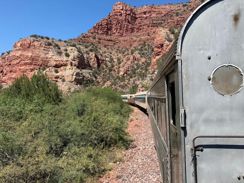 Wildlife Encounters Including Majestic Bald Eagles